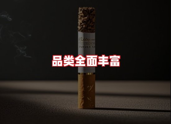 专业团队